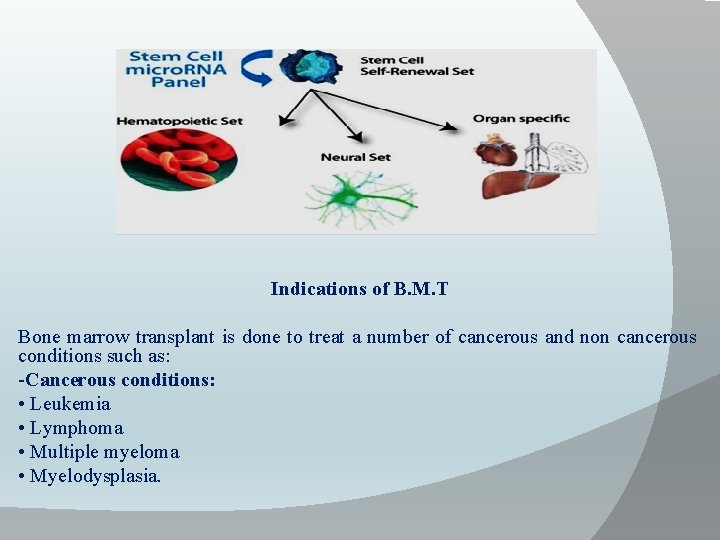 Indications of B. M. T Bone marrow transplant is done to treat a number