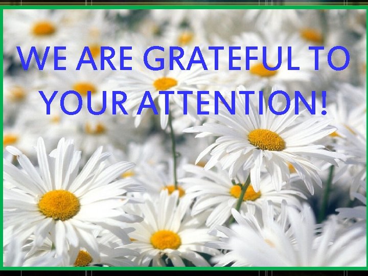 WE ARE GRATEFUL TO YOUR ATTENTION! 