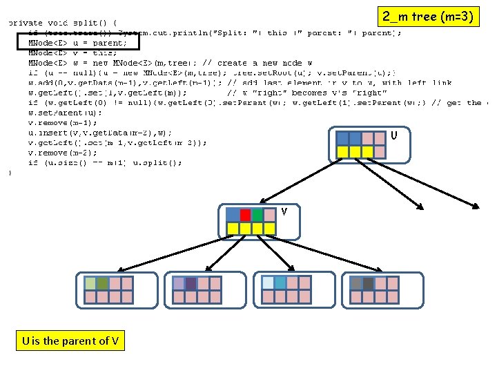 2_m tree (m=3) U V U is the parent of V 