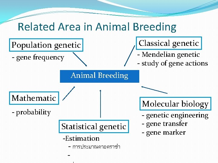 Related Area in Animal Breeding Population genetic - gene frequency Classical genetic - Mendelian