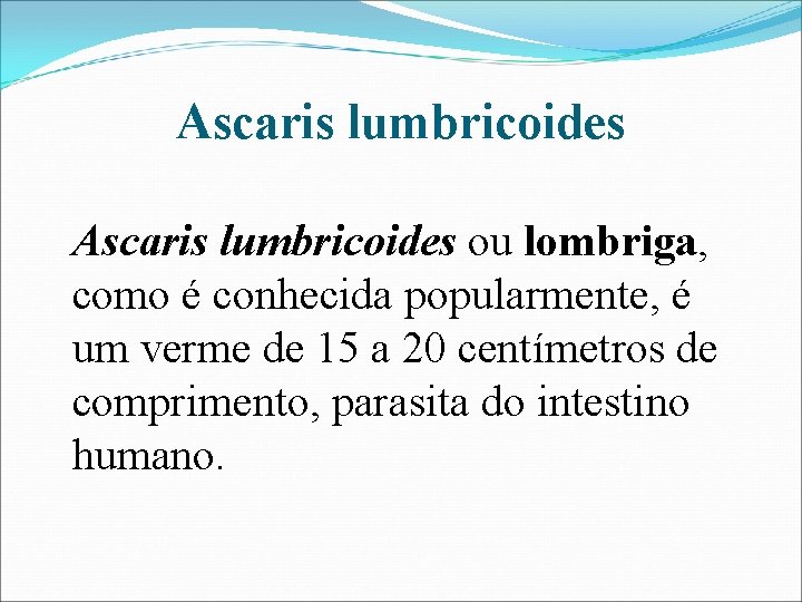 Ascaris lumbricoides ou lombriga, como é conhecida popularmente, é um verme de 15 a