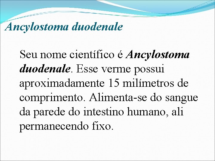 Ancylostoma duodenale Seu nome científico é Ancylostoma duodenale. Esse verme possui aproximadamente 15 milímetros