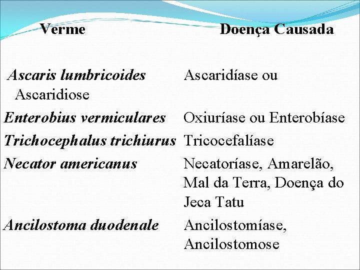 Verme Ascaris lumbricoides Ascaridiose Enterobius vermiculares Trichocephalus trichiurus Necator americanus Ancilostoma duodenale Doença Causada