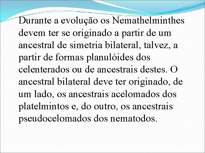 Durante a evolução os Nemathelminthes devem ter se originado a partir de um ancestral