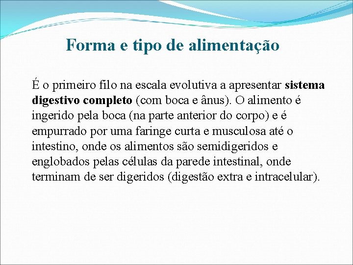 Forma e tipo de alimentação É o primeiro filo na escala evolutiva a apresentar