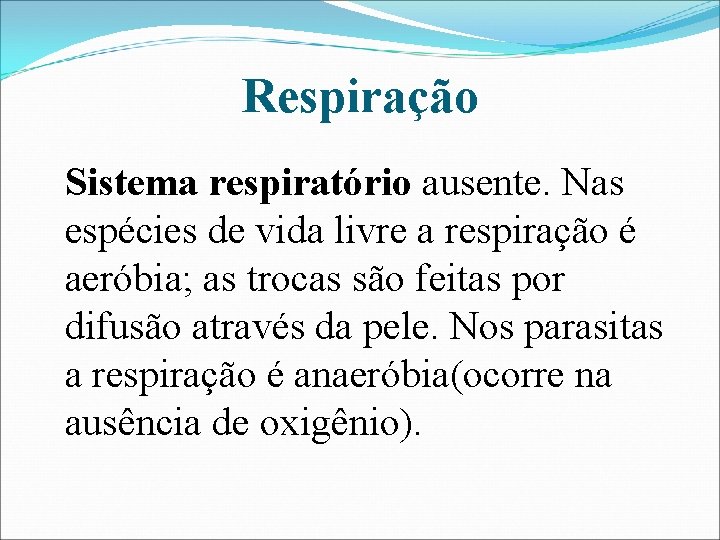 Respiração Sistema respiratório ausente. Nas espécies de vida livre a respiração é aeróbia; as