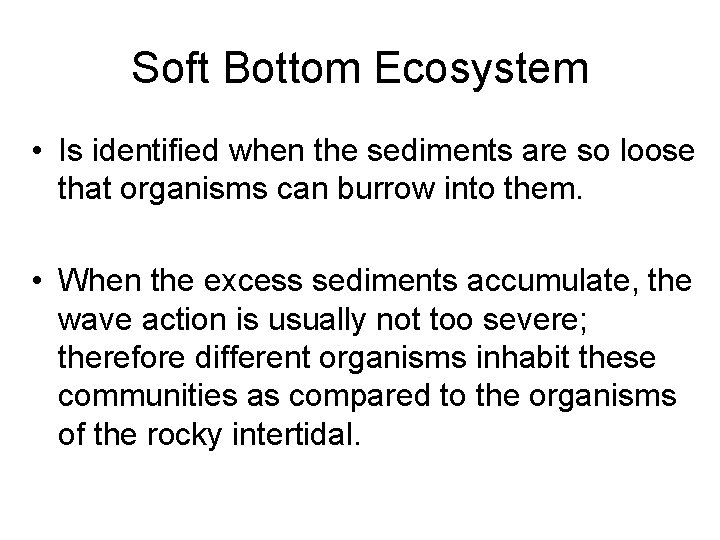 Soft Bottom Ecosystem • Is identified when the sediments are so loose that organisms