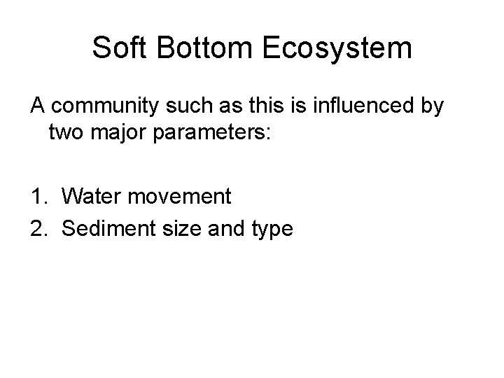 Soft Bottom Ecosystem A community such as this is influenced by two major parameters: