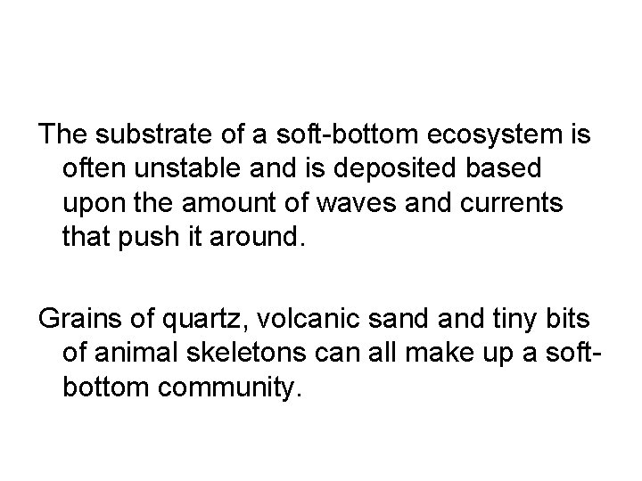 The substrate of a soft-bottom ecosystem is often unstable and is deposited based upon
