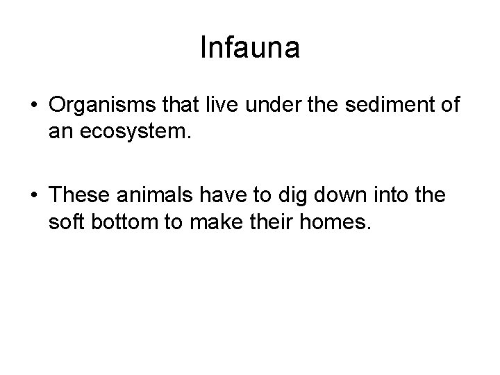 Infauna • Organisms that live under the sediment of an ecosystem. • These animals