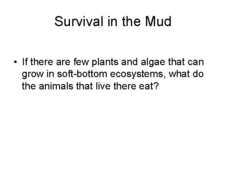 Survival in the Mud • If there are few plants and algae that can
