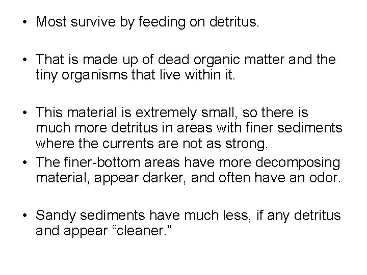  • Most survive by feeding on detritus. • That is made up of