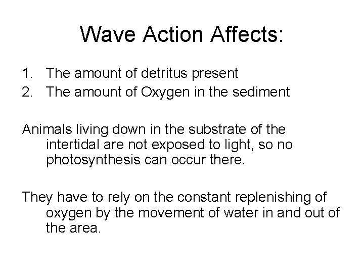 Wave Action Affects: 1. The amount of detritus present 2. The amount of Oxygen