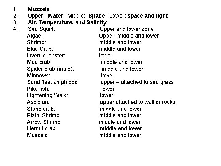 1. 2. 3. 4. Mussels Upper: Water Middle: Space Lower: space and light Air,