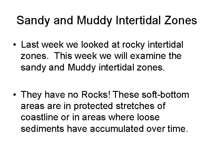 Sandy and Muddy Intertidal Zones • Last week we looked at rocky intertidal zones.