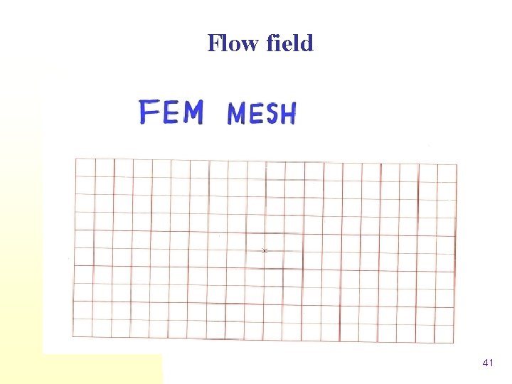 Flow field 41 
