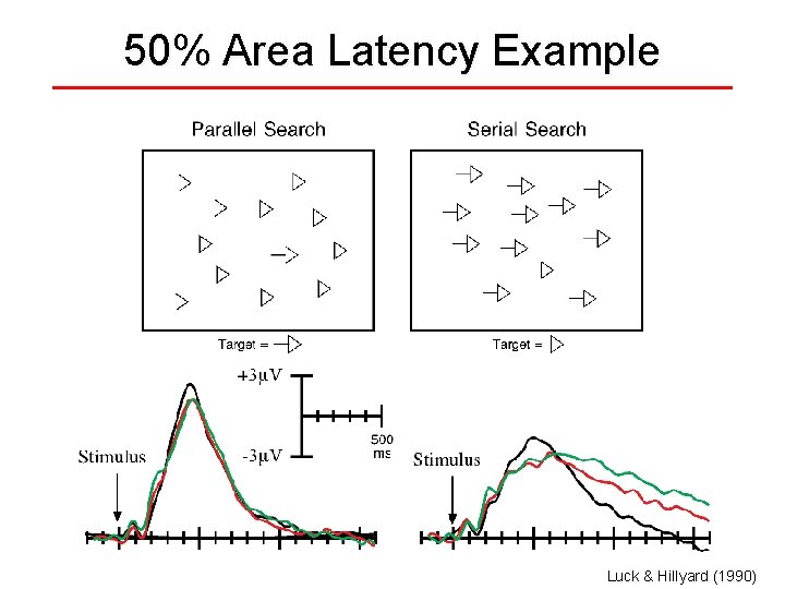 50% Area Latency Example Luck & Hillyard (1990) 