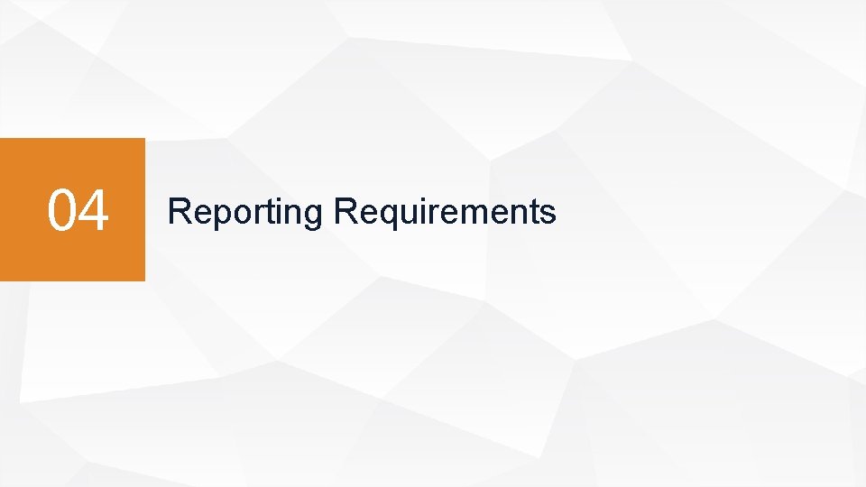 04 Reporting Requirements 