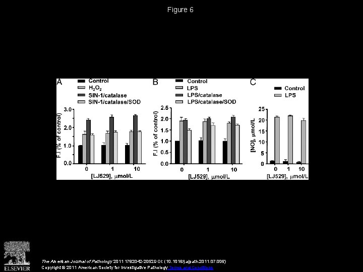 Figure 6 The American Journal of Pathology 2011 1792042 -2052 DOI: (10. 1016/j. ajpath.