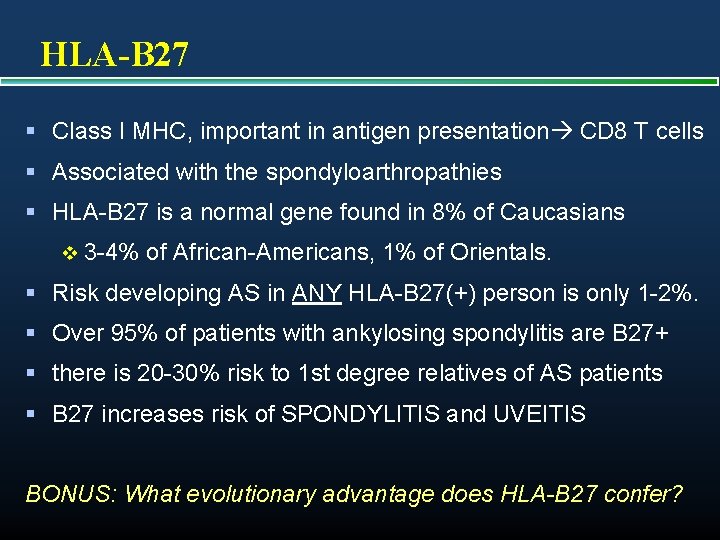 HLA-B 27 § Class I MHC, important in antigen presentation CD 8 T cells