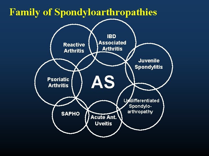 Family of Spondyloarthropathies Reactive Arthritis IBD Associated Arthritis Juvenile Spondylitis Psoriatic Arthritis SAPHO AS