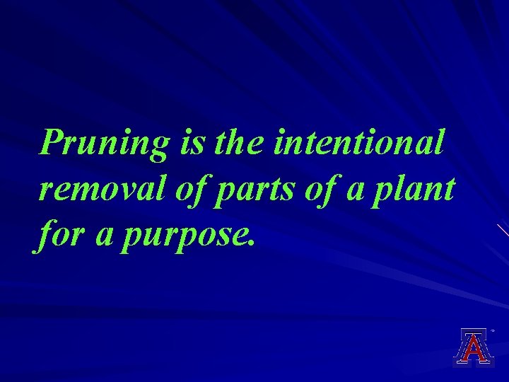 Pruning is the intentional removal of parts of a plant for a purpose. 