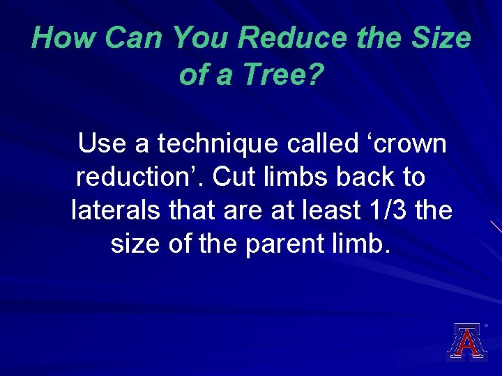 How Can You Reduce the Size of a Tree? Use a technique called ‘crown