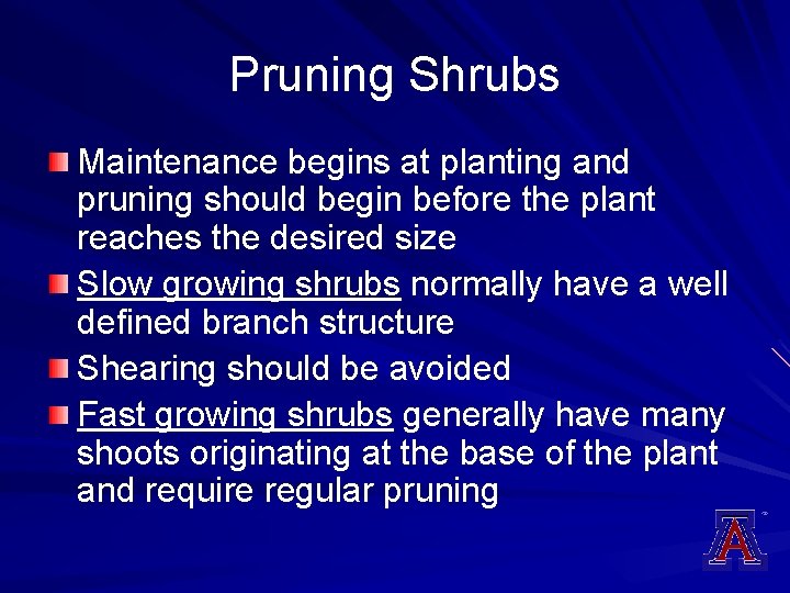 Pruning Shrubs Maintenance begins at planting and pruning should begin before the plant reaches