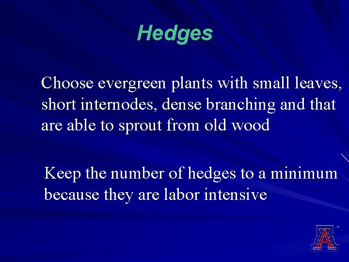 Hedges Choose evergreen plants with small leaves, short internodes, dense branching and that are
