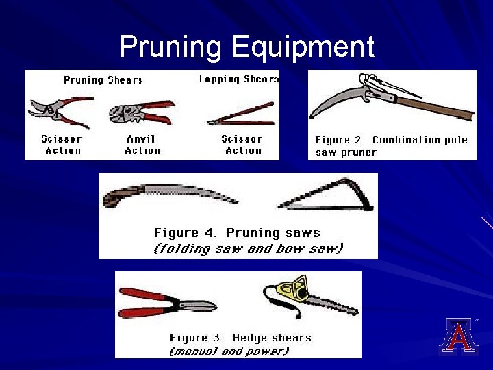 Pruning Equipment 