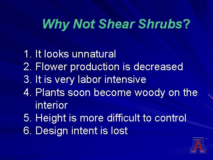 Why Not Shear Shrubs? 1. It looks unnatural 2. Flower production is decreased 3.