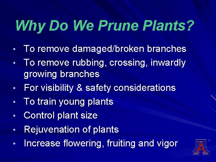 Why Do We Prune Plants? • To remove damaged/broken branches • To remove rubbing,
