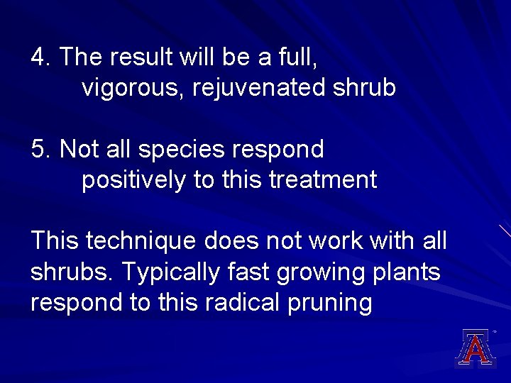 4. The result will be a full, vigorous, rejuvenated shrub 5. Not all species