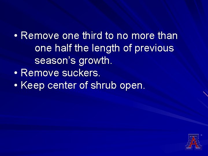  • Remove one third to no more than one half the length of