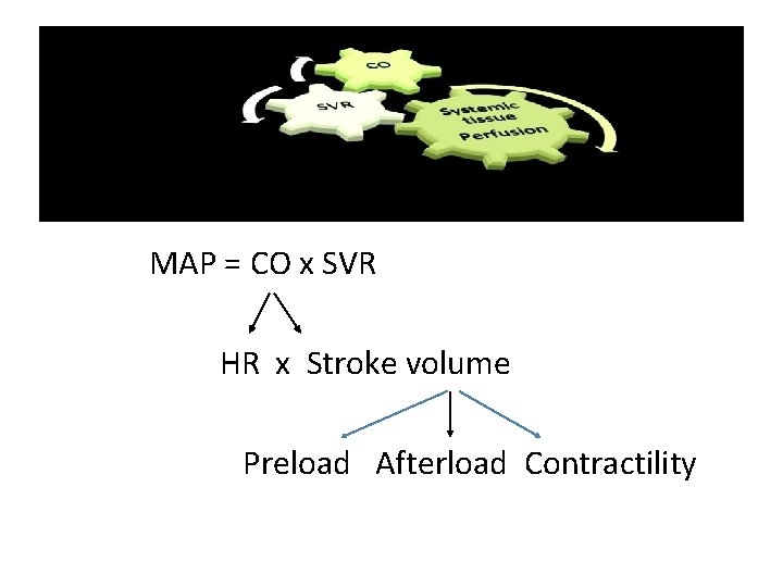 MAP = CO x SVR HR x Stroke volume Preload Afterload Contractility 