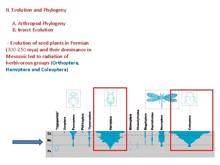 II. Evolution and Phylogeny A. Arthropod Phylogeny B. Insect Evolution - Evolution of seed II. Evolution and Phylogeny A. Arthropod Phylogeny B. Insect Evolution - Evolution of seed