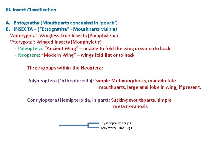 III. Insect Classification A. Entognatha (Mouthparts concealed in ‘pouch’) B. INSECTA – (“Ectognatha” - III. Insect Classification A. Entognatha (Mouthparts concealed in ‘pouch’) B. INSECTA – (“Ectognatha” -