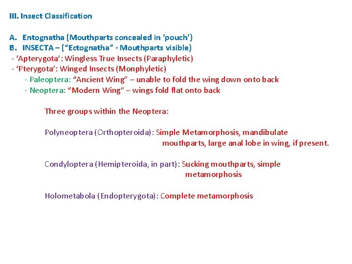 III. Insect Classification A. Entognatha (Mouthparts concealed in ‘pouch’) B. INSECTA – (“Ectognatha” - III. Insect Classification A. Entognatha (Mouthparts concealed in ‘pouch’) B. INSECTA – (“Ectognatha” -