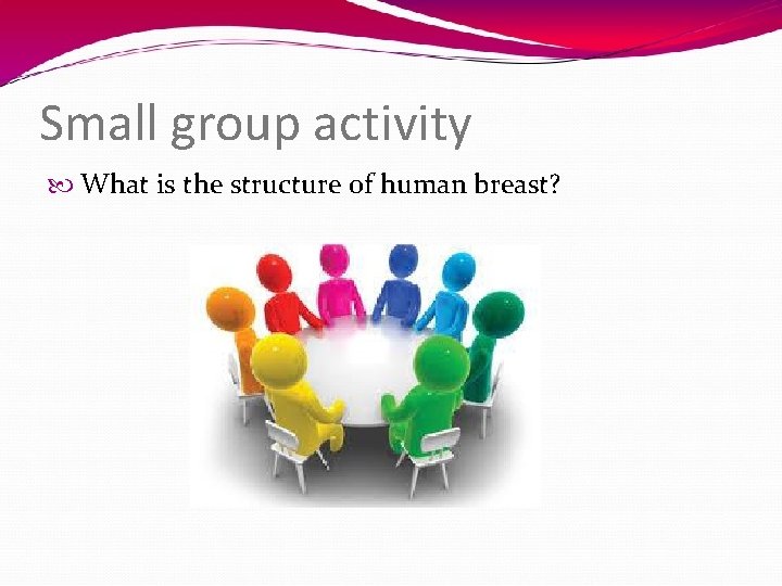 Small group activity What is the structure of human breast? 