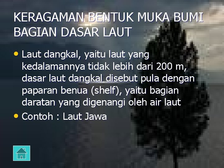 KERAGAMAN BENTUK MUKA BUMI BAGIAN DASAR LAUT • Laut dangkal, yaitu laut yang kedalamannya