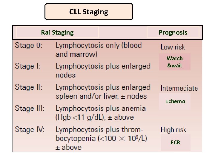 CLL Staging Rai Staging Prognosis Watch &wait ±chemo FCR 