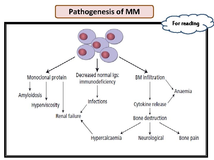 Pathogenesis of MM For reading 