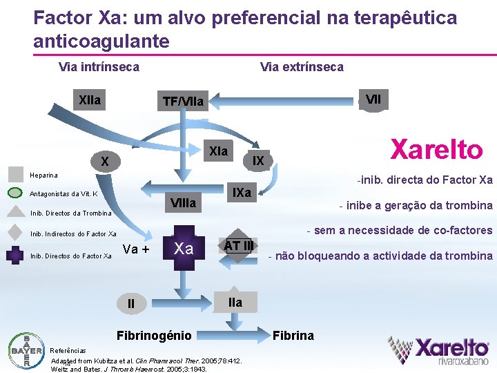 Factor Xa: um alvo preferencial na terapêutica anticoagulante Via intrínseca XI XIIa Via extrínseca