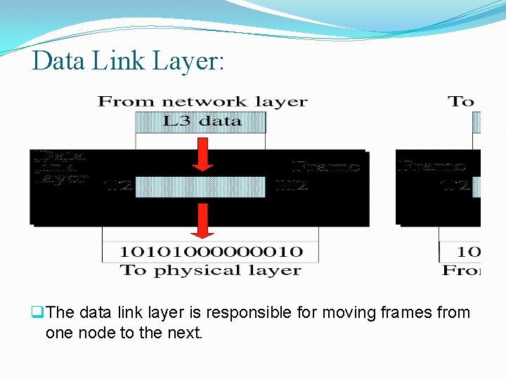 Data Link Layer: q The data link layer is responsible for moving frames from