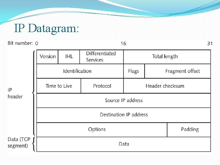 IP Datagram: 