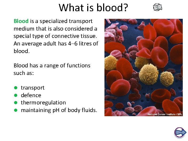 What is blood? Blood is a specialized transport medium that is also considered a