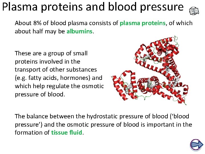 Plasma proteins and blood pressure About 8% of blood plasma consists of plasma proteins,