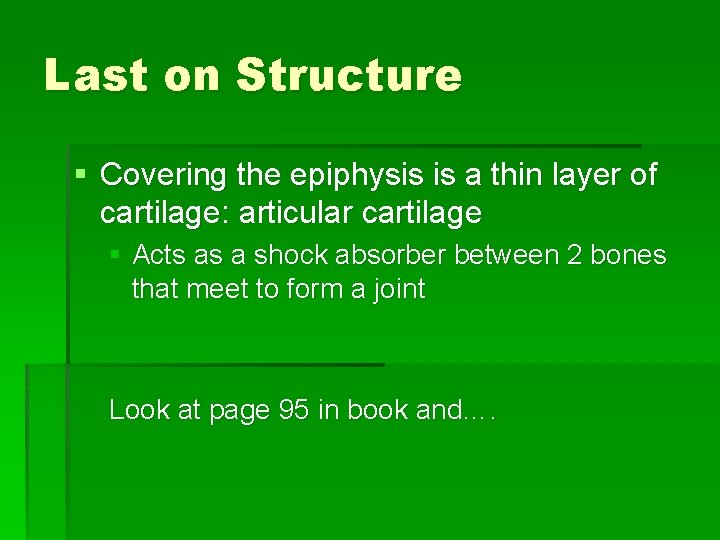 Last on Structure § Covering the epiphysis is a thin layer of cartilage: articular
