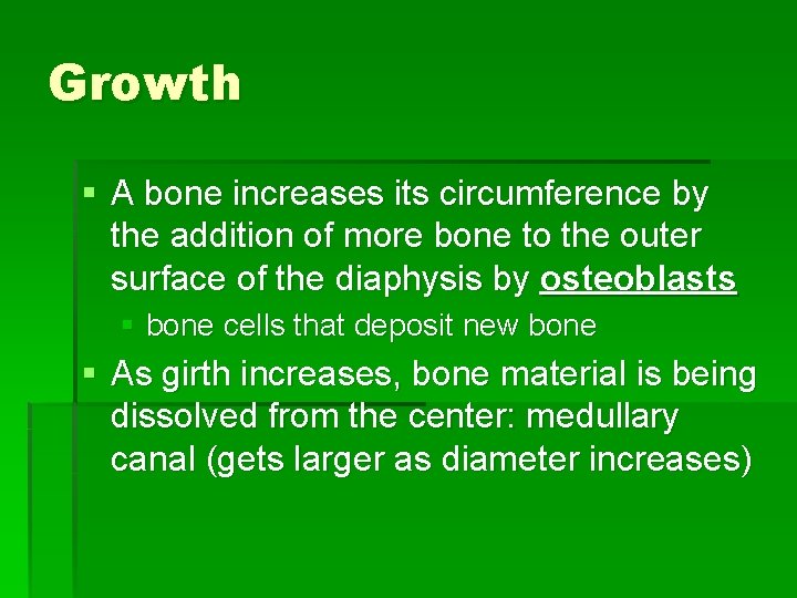 Growth § A bone increases its circumference by the addition of more bone to