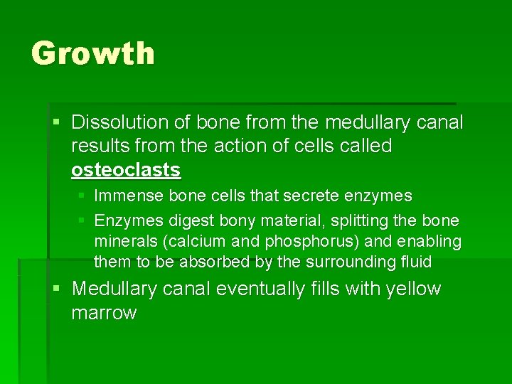 Growth § Dissolution of bone from the medullary canal results from the action of
